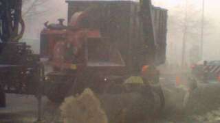afvoeren van dikke stammen met de vrachtwagen verwijderen van bomen in brabant